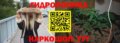 трава Тара